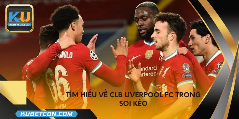 Tìm hiểu về CLB Liverpool FC trong soi kèo
