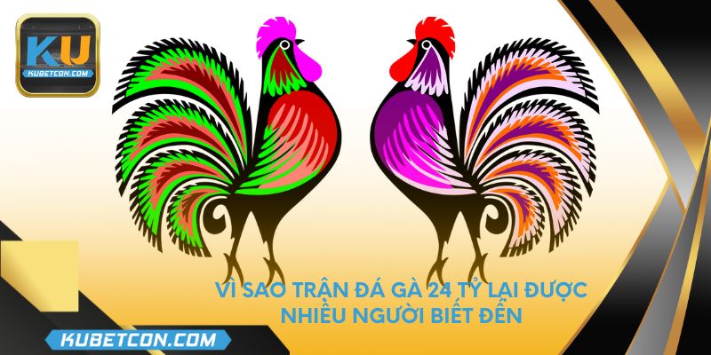 Vì sao trận đá gà 24 tỷ lại được nhiều người biết đến